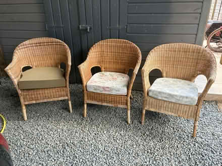 Photo of free 3 wicker chairs (Chichester) #1