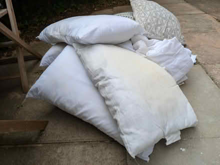 Photo of free Lots of old cushions and pillows (St Albans AL3) #3