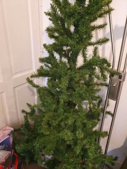 Photo of free Christmas Tree for crafts? (Tilehurst RG31) #1