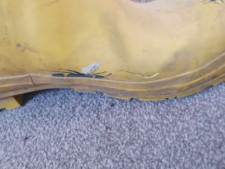 Photo of free Joules wellies size 7 (Kendal LA9) #2