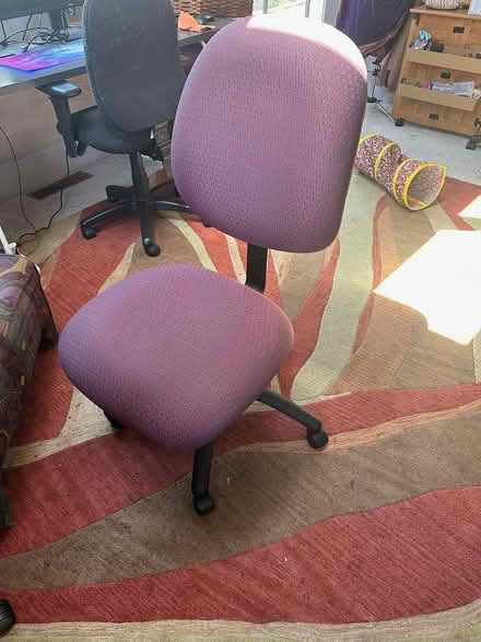 Photo of free Office Chairs (Brandi Lane, Fortuna) #1
