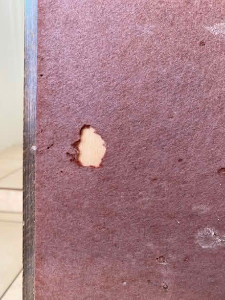 Photo of free Folding card table (Benslow SG4) #2
