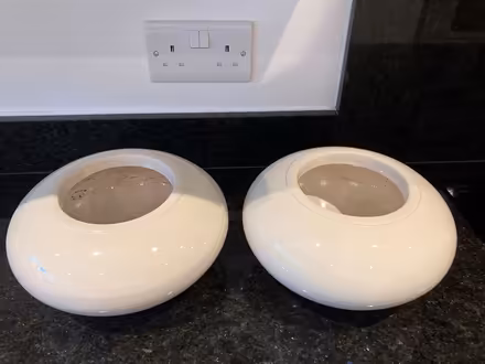Photo of free Orchid Pots (Beaconsfield HP9) #1