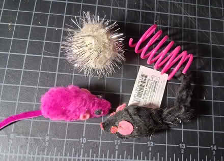 Photo of free Cat toys (Cambridgeport, near Dana Park) #1