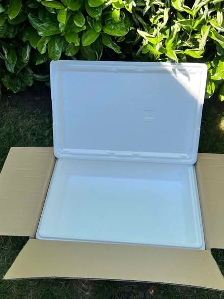 Photo of free Insulated styrofoam box chiller box (Willenhall CV3) #1