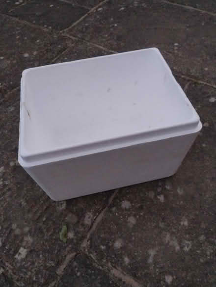 Photo of free Polystyrene Cool Box (CT21) #1