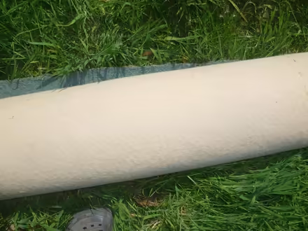 Photo of free Carpet (Runcton PO20) #3