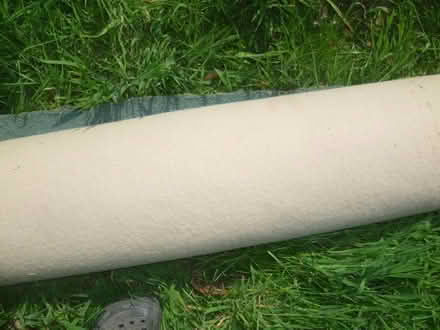 Photo of free Carpet (Runcton PO20) #3
