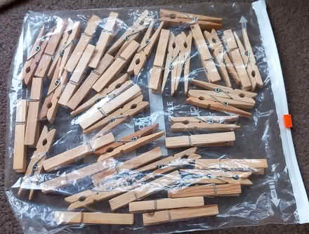 Photo of free Wooden Pegs (DA8) #1