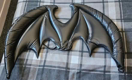 Photo of free Fancy dress bat wings (Chaddesden Wood DE21) #1