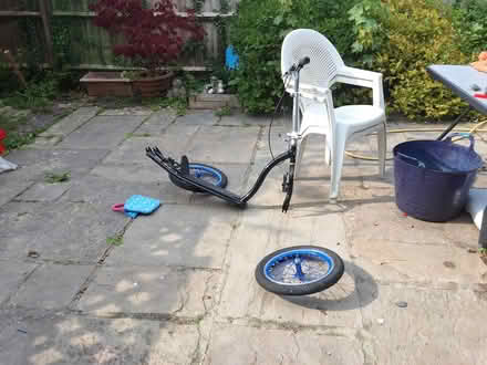 Photo of free Blkes oss (Horley RH6) #1