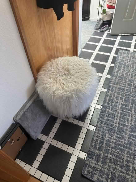 Photo of free Two furry stools (Brandi Lane, Fortuna) #1