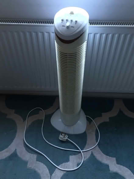 Photo of free Floor fan (Colchester CO4) #1