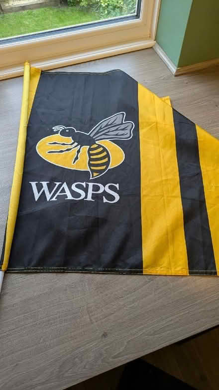 Photo of free Large wasps flag (Hatton CV35) #1
