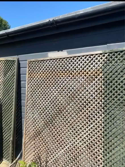 Photo of free 3 6ft x 6ft Lattice Fence Panels (Norwich NR1) #1