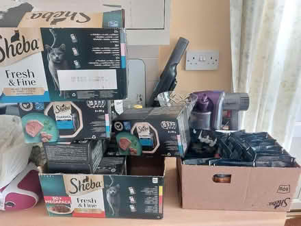 Photo of free Cat food (Kempston MK42) #1