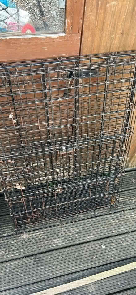 Photo of free Large dog cage (Heartsease NR7) #1