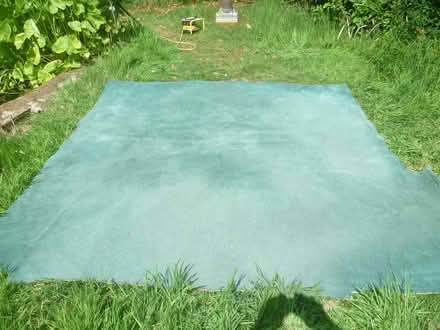 Photo of free Carpet (Runcton PO20) #2