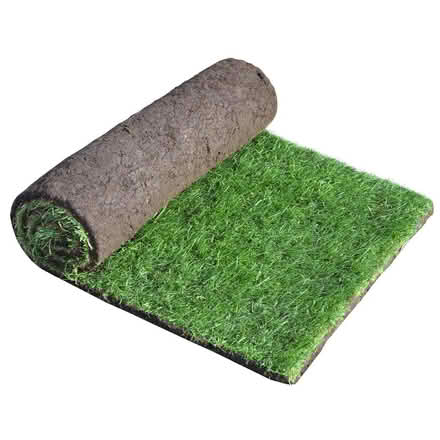 Photo of Turf (Holloway road N4) #1