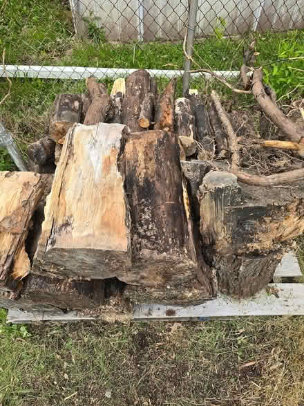 Photo of free Cut Wood (South side Lorain) #1