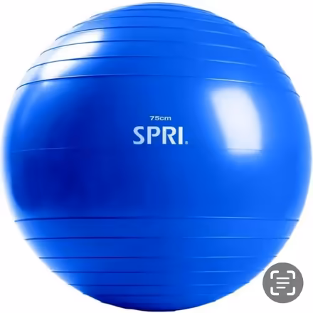 Photo of free SPRI Xercise Ball, 75cm- Blue (Echo Park) #1