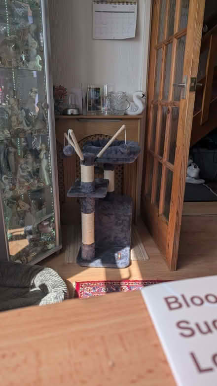 Photo of free Kitten scratch posts (Fairfield Park) #1