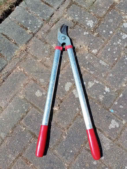Photo of free Branch loppers (Barming ME16) #1