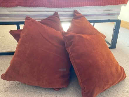 Photo of free 4 Cushions (Warminster BA12) #1