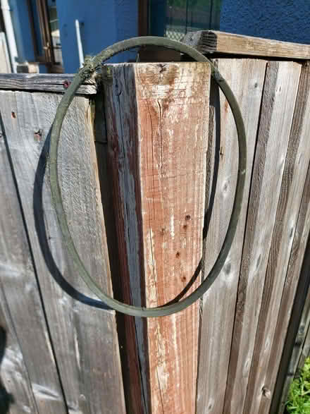 Photo of free Petrol Lawnmower - TLC (Coleford BA3) #2