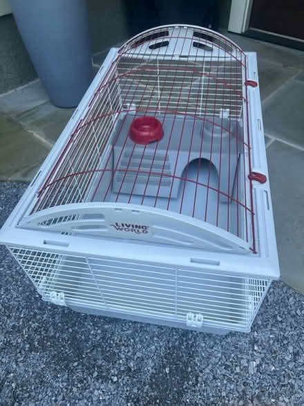 Photo of free Guinea pig / small pets habitat (Glen Ridge NJ) #1