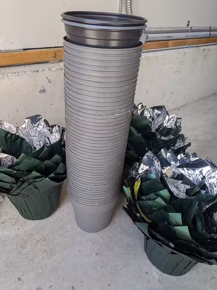 Photo of free 48 Plastic Plant Pots + Foil Wraps (Kirkland) #1
