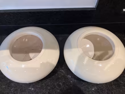 Photo of free Orchid Pots (Beaconsfield HP9) #2
