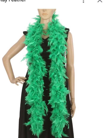 Photo of Feather Boas and craft Supplies (East) #1