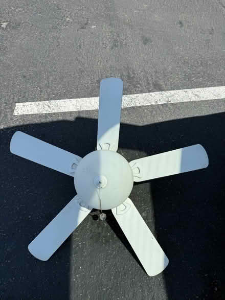 Photo of free Ceiling fan (90266) #1