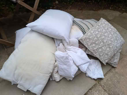 Photo of free Lots of old cushions and pillows (St Albans AL3) #1