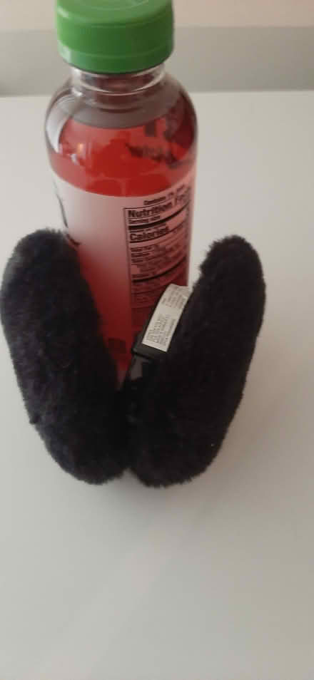 Photo of free Earmuffs (Farmington Hills) #1