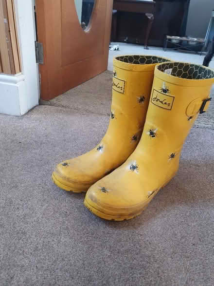 Photo of free Joules wellies size 7 (Kendal LA9) #1