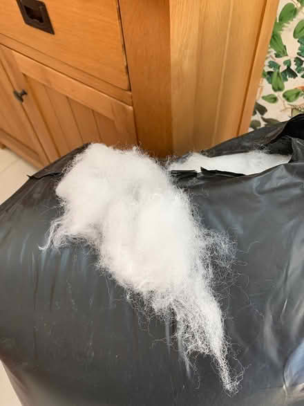 Photo of free Filling material (Cullompton) #2