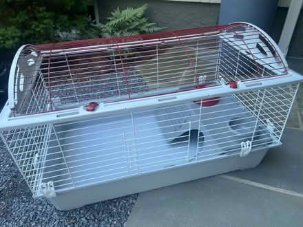 Photo of free Guinea pig / small pets habitat (Glen Ridge NJ) #2