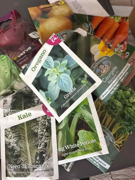 Photo of free veg seeds (NN3 Meadowfields) #2