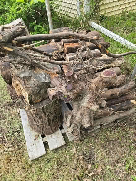 Photo of free Cut Wood (South side Lorain) #3