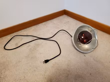 Photo of free Heat lamp (Ravenna) #2
