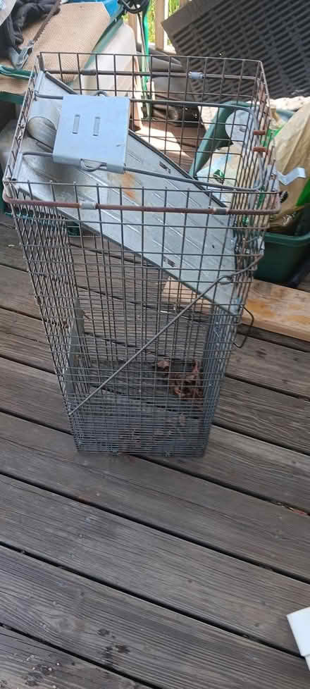Photo of free havaheart trap (melrose) #1