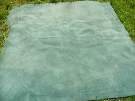 Photo of free Carpet (Runcton PO20) #1