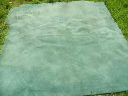 Photo of free Carpet (Runcton PO20) #1