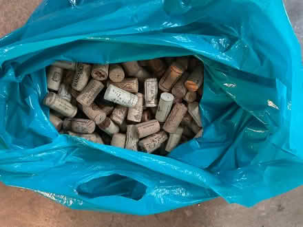 Photo of free Wine Corks (Near St Nicolas Church) #1
