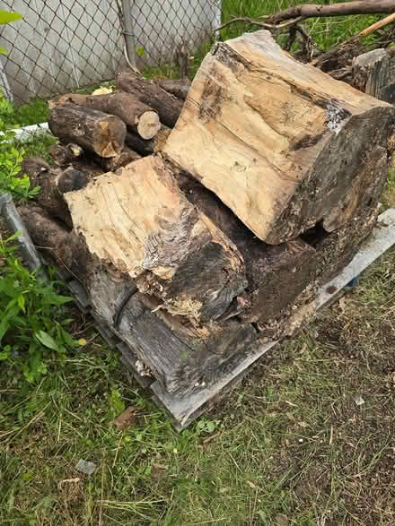 Photo of free Cut Wood (South side Lorain) #2