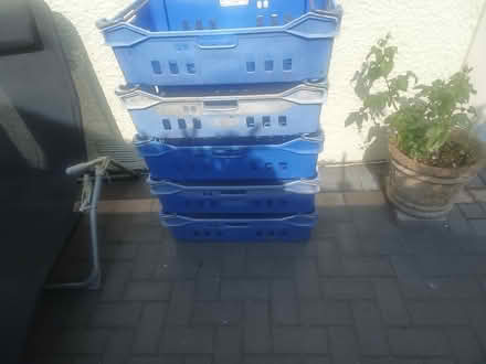 Photo of free Plastic Stacking Trays (Saltash PL12) #1