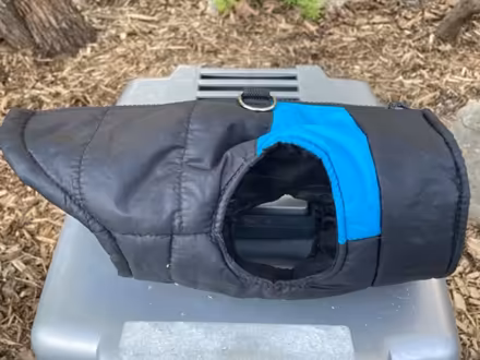 Photo of free Small pet coat/harness (Ashdale, S. of Gerrard Library) #1