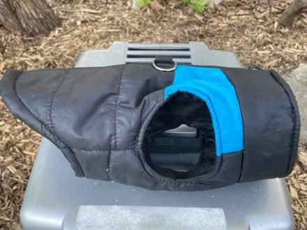 Photo of free Small pet coat/harness (Ashdale, S. of Gerrard Library) #1